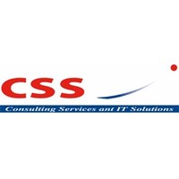 CSS Consulting Services & It Solutions