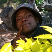 Thulani Innocent