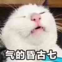 王宇韬