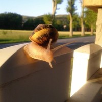 Marie Pierre VANDENBURIE