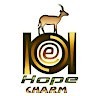 Hope Charm