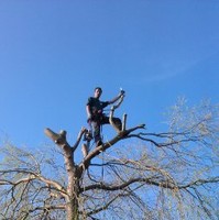 Arend Koet