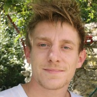 Léopold Hauviller