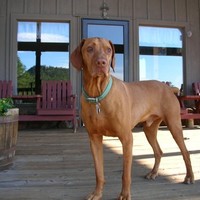 Jackjack Sundance Trail