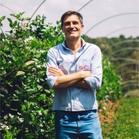 Paulo Pavan