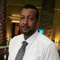Rabie Mansour Elbadry