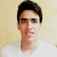 Hussein Shaltout