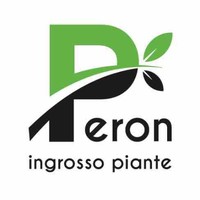 fabio peron
