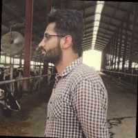Samama Tahir