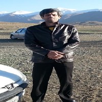 Majid Ghanamijaber
