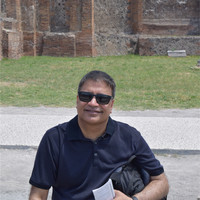 Rajnish Mehrotra