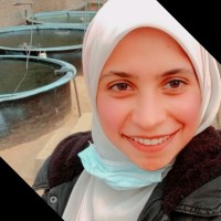 Omnia Magdy