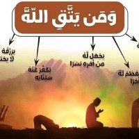 Mahmoud Abd Salam