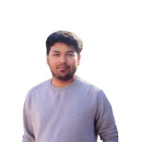 Vikas Singh Tomar