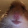 Big Nuts