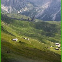 محمد عبدالرحيم