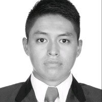 Josmar Moisés Alarcón Alarcón