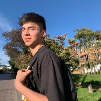 santiago camargo barinas