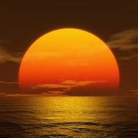 محمد الشامي _ ابو منتظر _