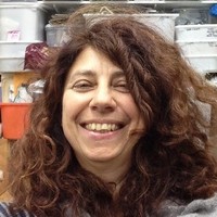 Andrea Carr