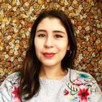 Sandra Lucia Zegarra Flores