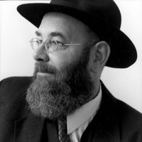 Johannes van der Meer