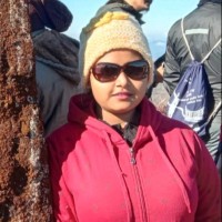 Krishna Biswas