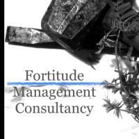 Fortitude Management consultancy