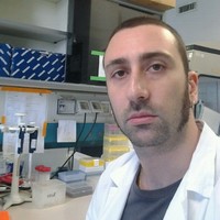 Maurizio Curcio