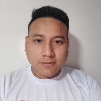 Lincer Roberto Dzul Gutierrez