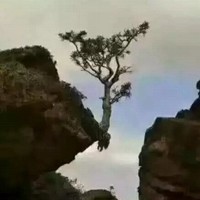 曾祥龙