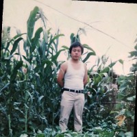 曹元飞