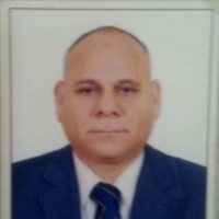 Mohammed Ginawi
