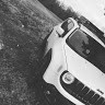 The Renegade