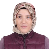 Sue Aydin