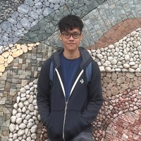 Le Dan Nguyen Dinh