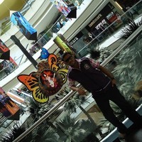 Praveen Kumar J
