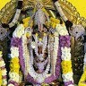 Harshamp Harsha