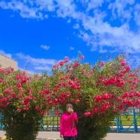 Nada Abed