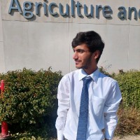 Shoaib Abid