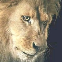 Jarvis Mack