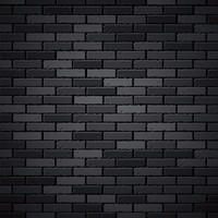 Workolics Professional