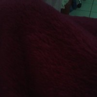 maria José Rodriguez