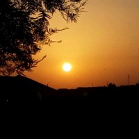 Hanad Shiine
