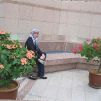 z yousefi