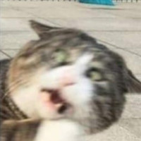 Neil Breen