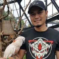 Bozky Hendri