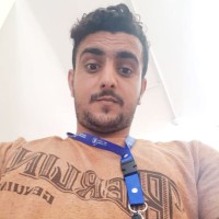 hussien ahmed albree