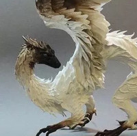 徐龙哲