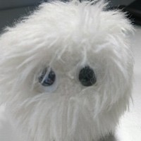 test Piotest